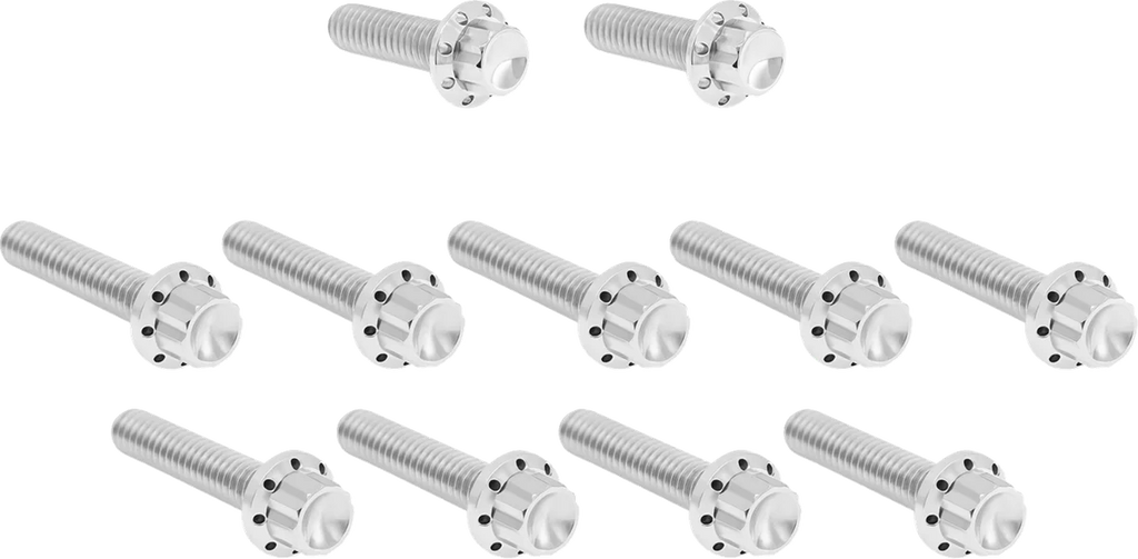 Arlen Ness Bolt Kit - Cam Cover/Point Cover - Titanium - 12-Point - Polished - Main Product View