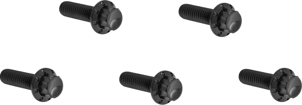 Arlen Ness Bolt Kit - Derby Cover - 12-Point - Titanium - Black - Main Product View