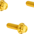 Load image into Gallery viewer, Arlen Ness Bolt Kit - Derby Cover - 12-Point - Titanium - Gold - Main Product View