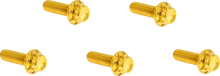 Load image into Gallery viewer, Arlen Ness Bolt Kit - Derby Cover - 12-Point - Titanium - Gold - Main Product View