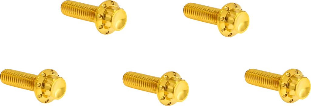 Arlen Ness Bolt Kit - Derby Cover - 12-Point - Titanium - Gold - Main Product View