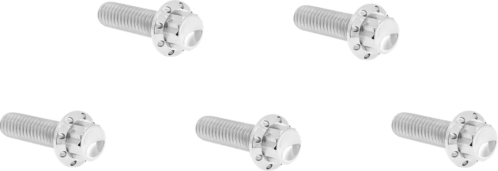 Arlen Ness Bolt Kit - Derby Cover - 12-Point - Titanium - Polished