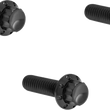 Load image into Gallery viewer, Arlen Ness Bolt Kit - Derby Cover - 12-Point - Titanium - Black - Main Product View