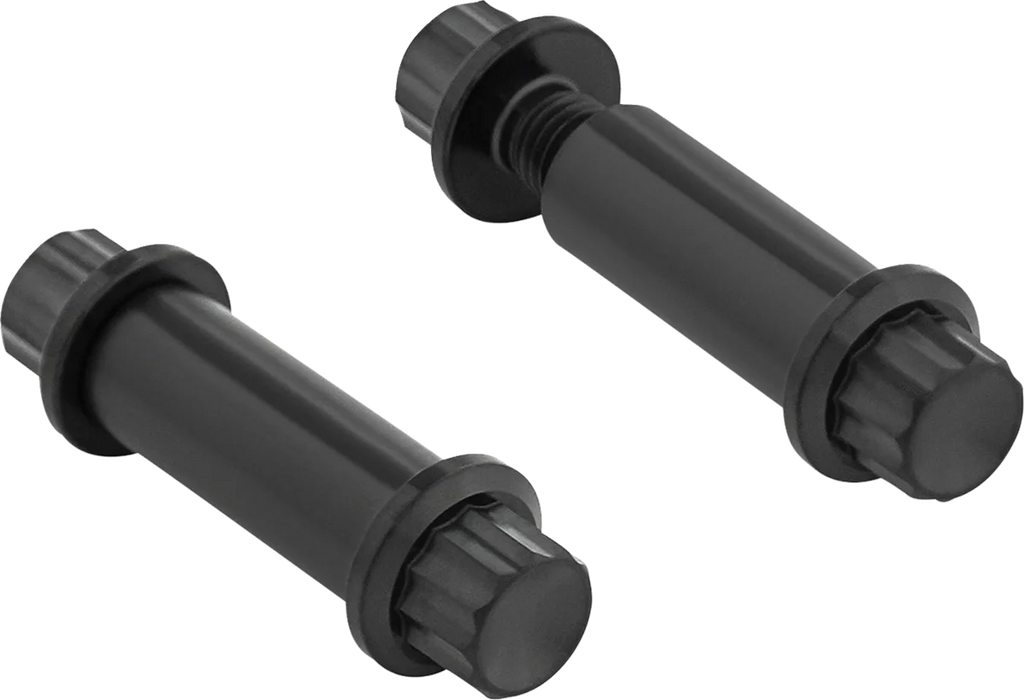 Arlen Ness Bolt Kit - Footpeg - 12-Point - Titanium - Black - Main Product View