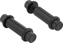 Load image into Gallery viewer, Arlen Ness Bolt Kit - Footpeg - 12-Point - Titanium - Black - Main Product View