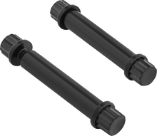Load image into Gallery viewer, Arlen Ness Bolt Kit - Footpeg - 12-Point - Titanium - Black - Main Product View