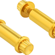 Load image into Gallery viewer, Arlen Ness Bolt Kit - Footpeg - 12-Point - Titanium - Gold - Main Product View
