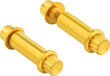 Load image into Gallery viewer, Arlen Ness Bolt Kit - Footpeg - 12-Point - Titanium - Gold - Main Product View