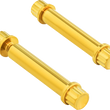 Load image into Gallery viewer, Arlen Ness Bolt Kit - Footpeg - 12-Point - Titanium - Gold - Main Product View