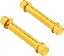 Load image into Gallery viewer, Arlen Ness Bolt Kit - Footpeg - 12-Point - Titanium - Gold - Main Product View