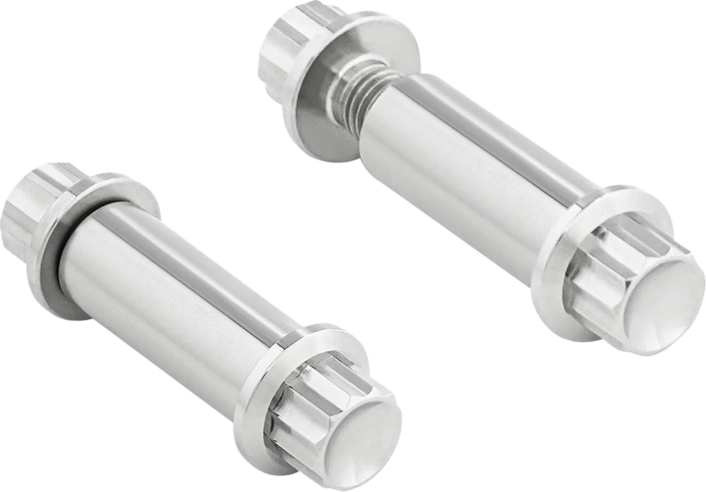 Arlen Ness Bolt Kit - Footpeg - 12-Point - Titanium - Polish