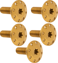 Load image into Gallery viewer, Arlen Ness Bolt Kit - Holeshot/Rotor/Front - Hub Mount - Black - 5 Pack 300-913 - Side View