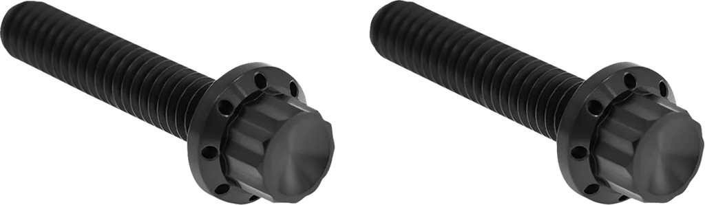 Arlen Ness Bolt Kit - Hydraulic Clutch - Titanium - 12-Point - M8/Twin Cam - Black - Main Product View