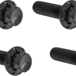 Load image into Gallery viewer, Arlen Ness Bolt Kit - Lifter Block - 12-Point - Titanium - Black - Main Product View
