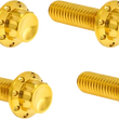 Load image into Gallery viewer, Arlen Ness Bolt Kit - Lifter Block - 12-Point - Titanium - Gold - Main Product View