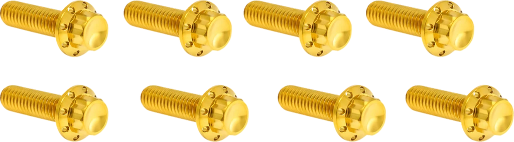 Arlen Ness Bolt Kit - Lifter Block - 12-Point - Titanium - Gold - Main Product View