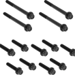 Load image into Gallery viewer, Arlen Ness Bolt Kit - Primary Cover - Titanium - 12-Point - FLT - Black - Main Product View