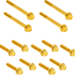 Load image into Gallery viewer, Arlen Ness Bolt Kit - Primary Cover - Titanium - 12-Point - FLT - Gold - Main Product View