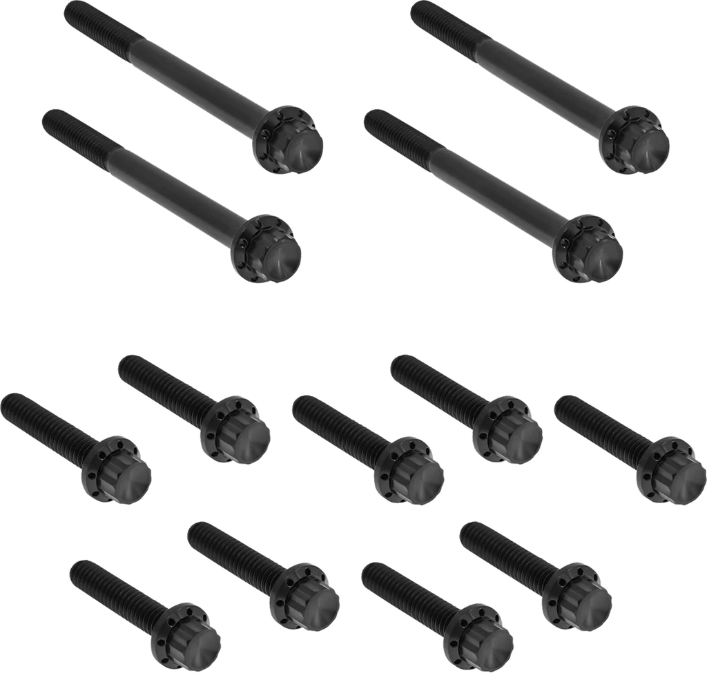 Arlen Ness Bolt Kit - Primary Cover - Titanium - 12-Point - Softail - Black - Main Product View