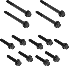 Load image into Gallery viewer, Arlen Ness Bolt Kit - Primary Cover - Titanium - 12-Point - Softail - Black - Main Product View