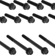Load image into Gallery viewer, Arlen Ness Bolt Kit - Primary Cover - Titanium - 12-Point - Twin Cam - Black - Main Product View