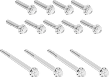 Load image into Gallery viewer, Arlen Ness Bolt Kit - Primary Cover - Titanium - 12-Point - Twin Cam - Polished - Main Product View