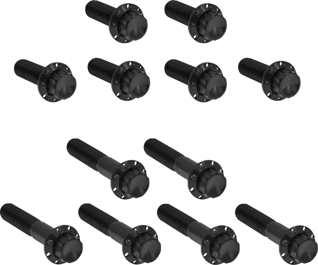 Arlen Ness Bolt Kit - Rocker Box - 12-Point - Titanium - Black