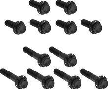 Load image into Gallery viewer, Arlen Ness Bolt Kit - Rocker Box - 12-Point - Titanium - Black