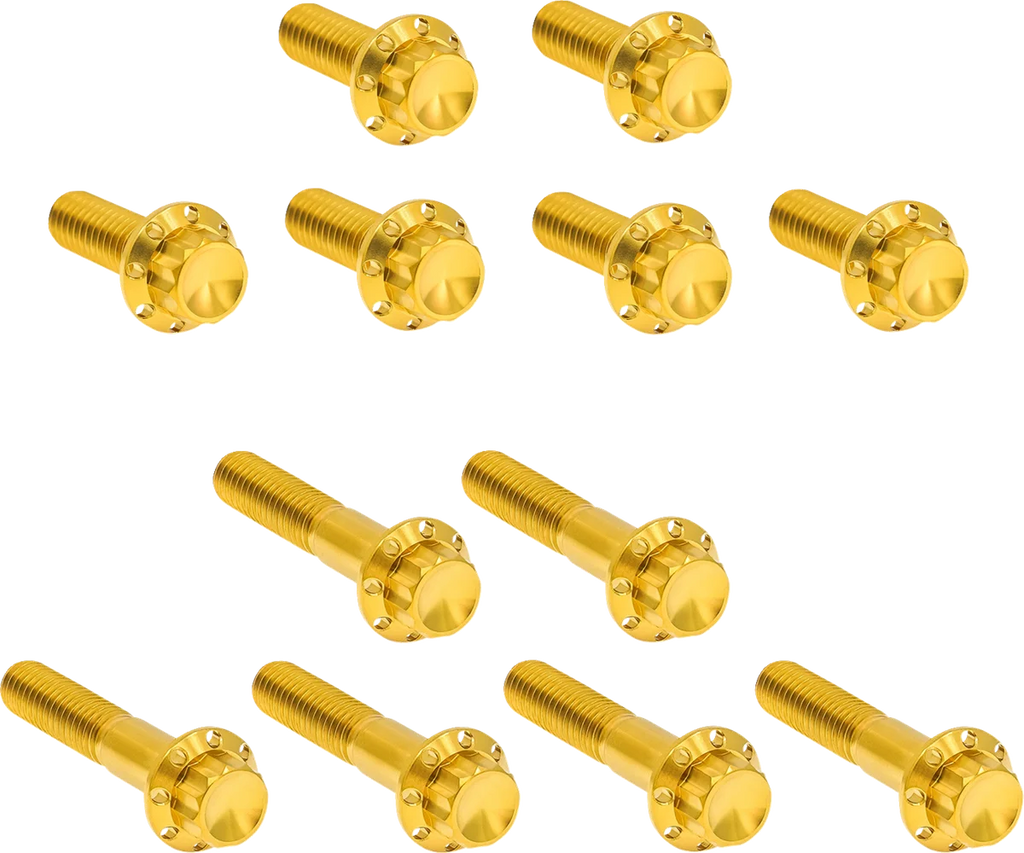 Arlen Ness Bolt Kit - Rocker Box - 12-Point - Titanium - Gold
