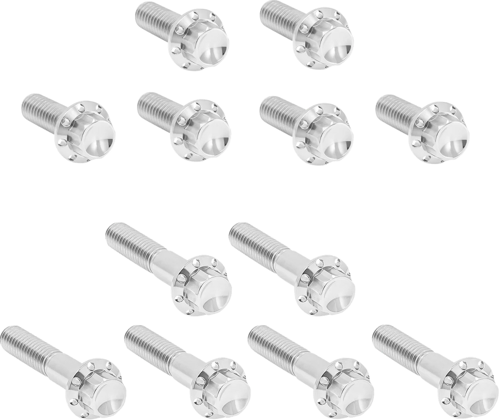 Arlen Ness Bolt Kit - Rocker Box - 12-Point - Titanium - Polished