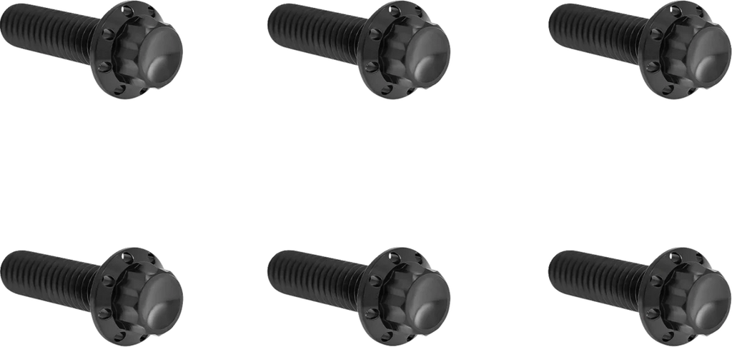 Arlen Ness Bolt Kit - Transmission Top Cover - 12-Point - Titanium - Black - Main Product View