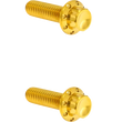 Load image into Gallery viewer, Arlen Ness Bolt Kit - Transmission Top Cover - 12-Point - Titanium - Gold - Main Product View