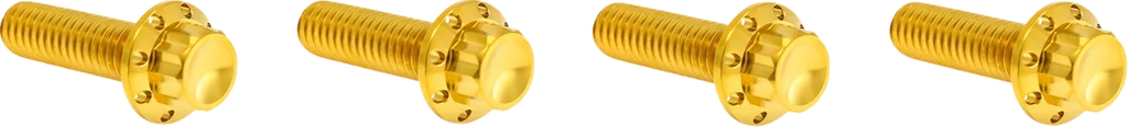 Arlen Ness Bolt Kit - Transmission Top Cover - 12-Point - Titanium - Gold - Main Product View