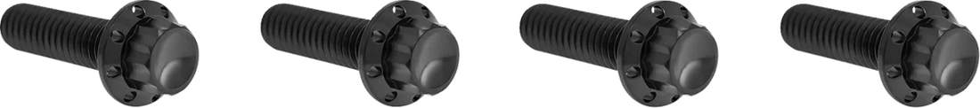 Arlen Ness Bolt Kit - Transmission Top Cover - 12-Point - Titanium - Polished - Side View