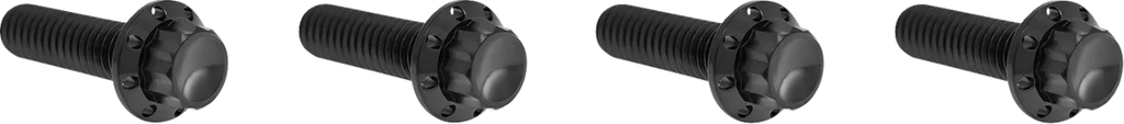 Arlen Ness Bolt Kit - Transmission Top Cover - 12-Point - Titanium - Polished - Side View