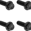 Load image into Gallery viewer, Arlen Ness Bolt Kit - Trap Door - Titanium - 12-Point - Black300-710 fits M8 - Main Product View