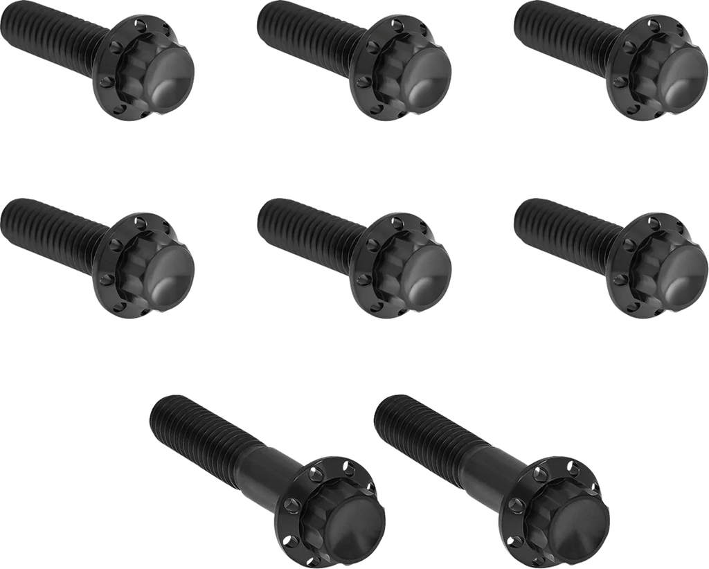 Arlen Ness Bolt Kit - Trap Door - Titanium - 12-Point - Twin Cam/6-Speed - Black - Main Product View