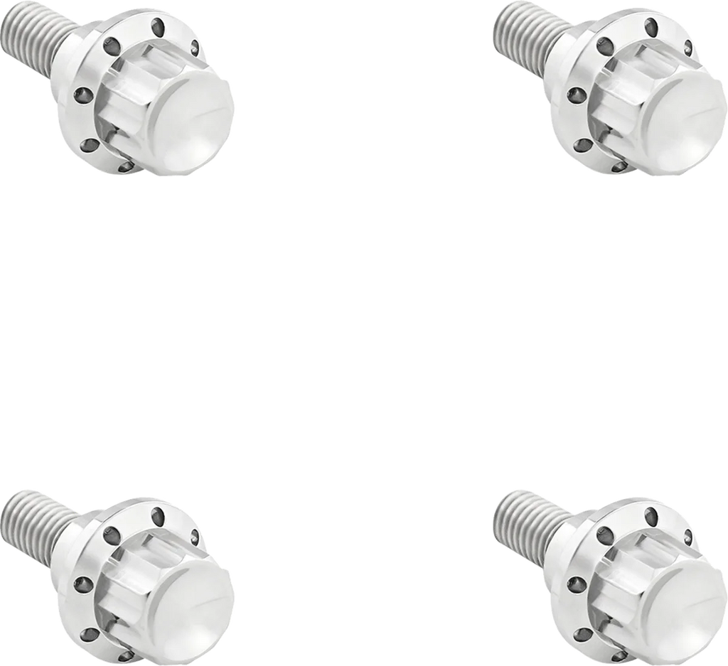 Arlen Ness Bolt Kit - Windshield - 12-Point - Titanium - Black - Side View