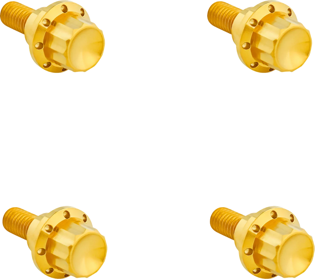Arlen Ness Bolt Kit - Windshield - 12-Point - Titanium - Gold - Main Product View