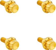Load image into Gallery viewer, Arlen Ness Bolt Kit - Windshield - 12-Point - Titanium - Gold - Main Product View
