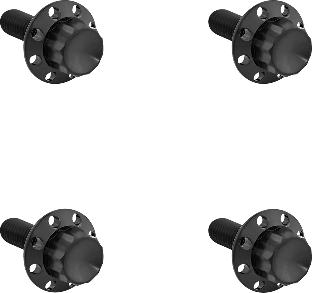 Arlen Ness Bolt Kit - Windshield - Titanium - 12-Point - Black - Main Product View