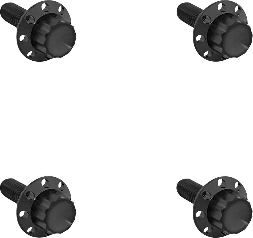 Arlen Ness Bolt Kit - Windshield - Titanium - 12-Point - Black - Main Product View