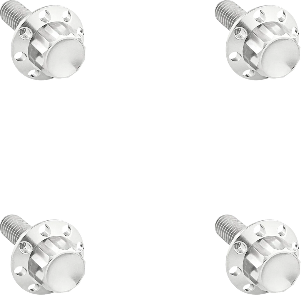 Arlen Ness Bolt Kit - Windshield - Titanium - 12-Point - Black - Side View