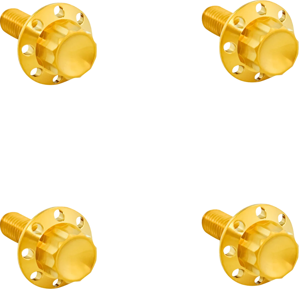 Arlen Ness Bolt Kit - Windshield - Titanium - 12-Point - Gold - Main Product View