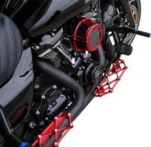 Load image into Gallery viewer, Arlen Ness Diamond Floorboards - Driver - Red - Additional View 6