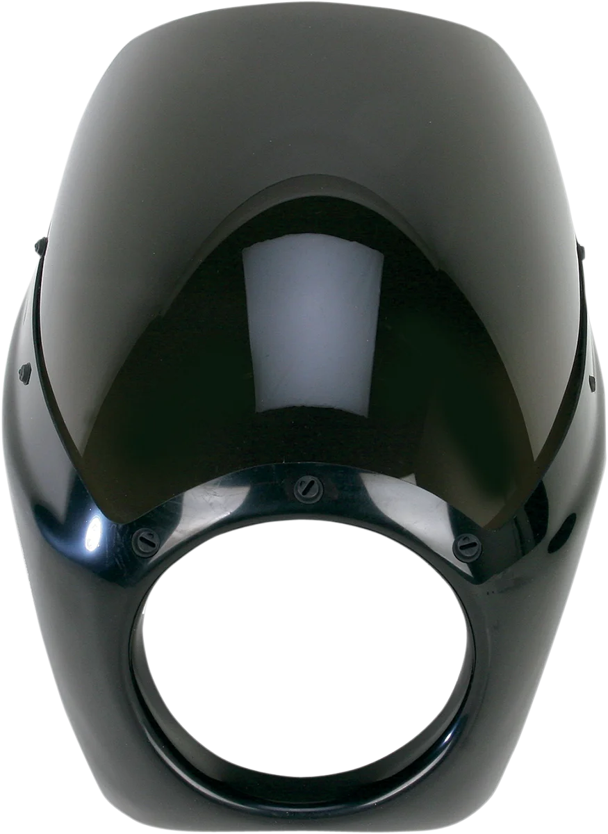 Arlen Ness Fairing - Louvered 06-043 - Side View