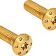 Load image into Gallery viewer, Arlen Ness Mounting Bolts - Gold - Main Product View