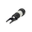 Load image into Gallery viewer, Arnott Industries Air Suspension Strut AS-3037 - Side View