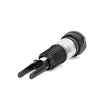 Load image into Gallery viewer, Arnott Industries Air Suspension Strut AS-3038 - Side View