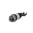 Load image into Gallery viewer, Arnott Industries Air Suspension Strut AS-3056 - Installation View